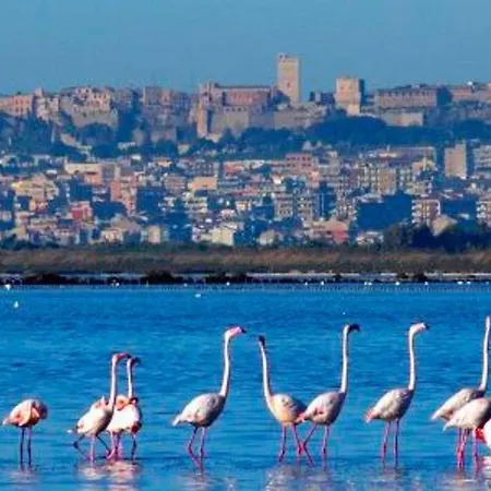 Apartamento Virgilio House *