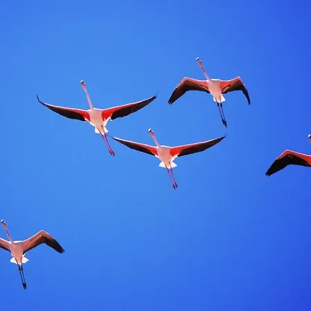 Virgilio House * Cagliari