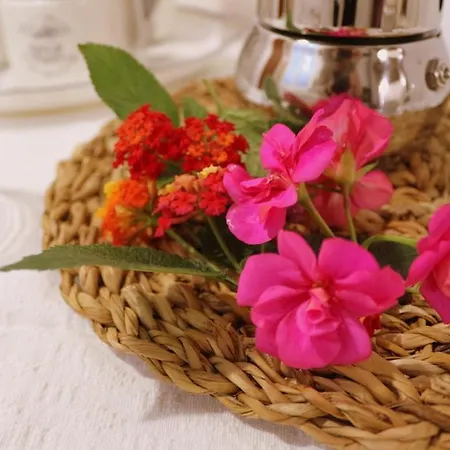 Virgilio House Apartment Cagliari