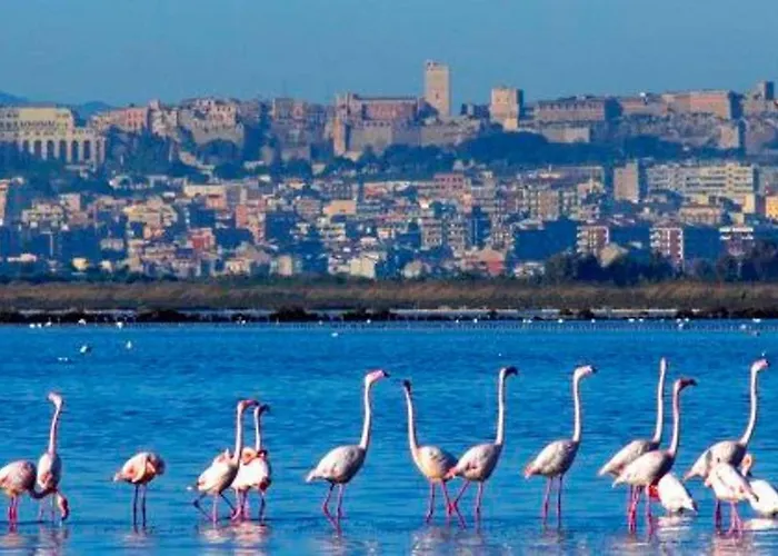 דירה Virgilio House *